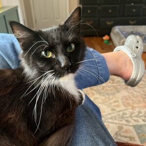 Meet your Posher, Elizabeth